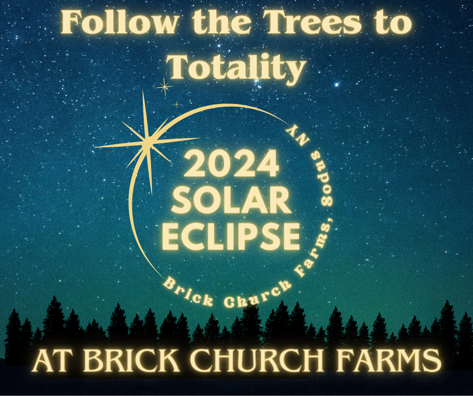 Follow the Trees to Totality